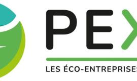 PEXE