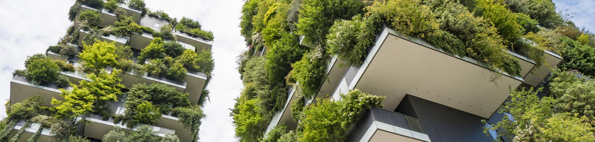 Territoires & environnement