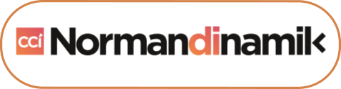 Normandinamik