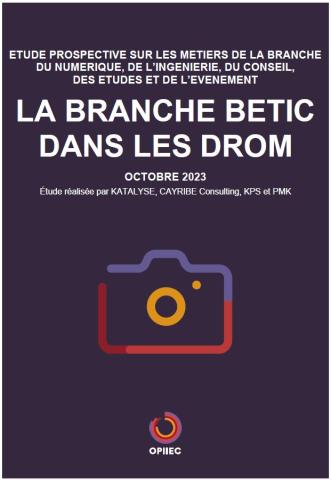 la branche BETIC en DROm rapport final