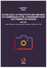 feminisation