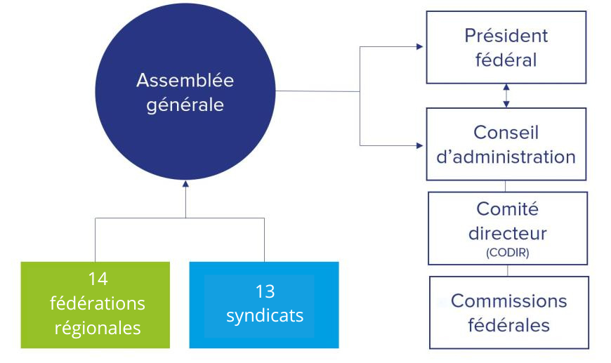 Organigramme Fédération Cinov